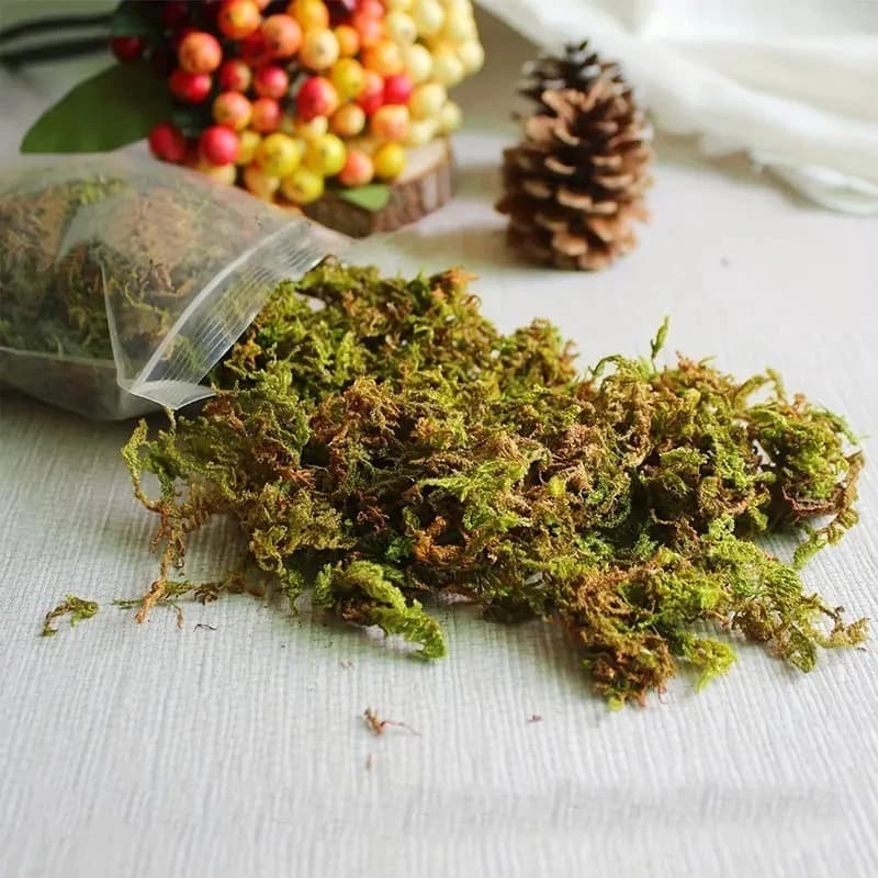 musgo para Artesanato - Pacotinho com 20g