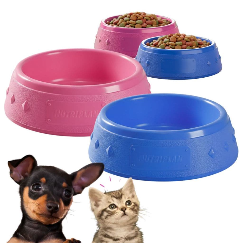 Kit 2 Comedouro Bebedouro Mini Pote Tigela Gatos e Cachorro Econômico Potinho Pet Filhote 200ml Rosa e Azul