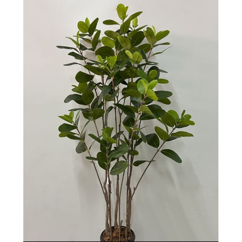Planta artificial ficus elástica 1.50mt o vaso não acompanha