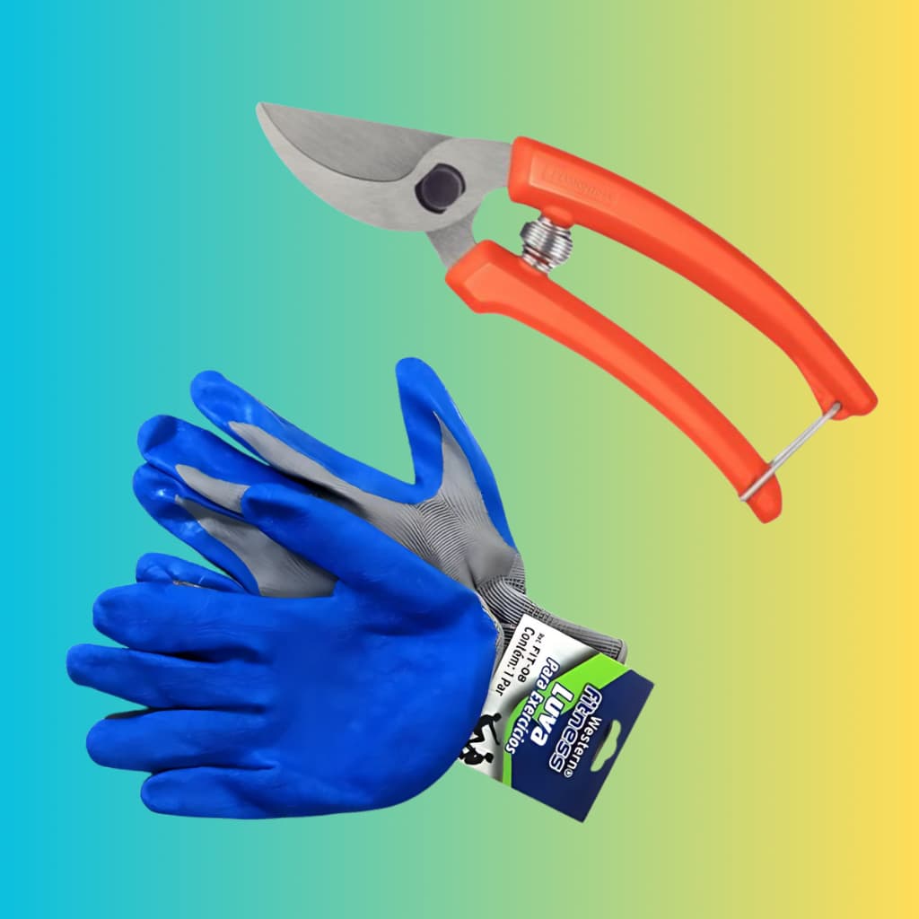 Tesoura Poda E Luvas de Proteção Kit Jardinagem Plantas Flores Horta