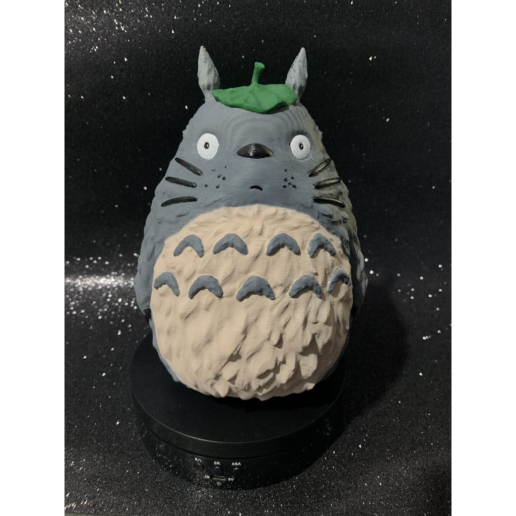 Action Figure | Totoro- 3D- Anime
