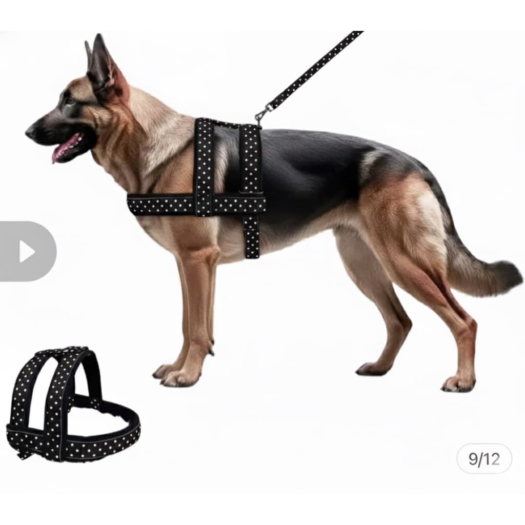 Conjunto Peitoral Com Guia De Nylon Duplo Especial Super Resistente Para Cachorro Cão Grande Porte