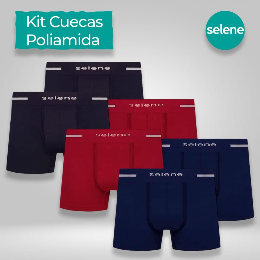 Kit 2 ou 4 Cuecas Boxer Box Masculina Poliamida Sem Costura Selene Original