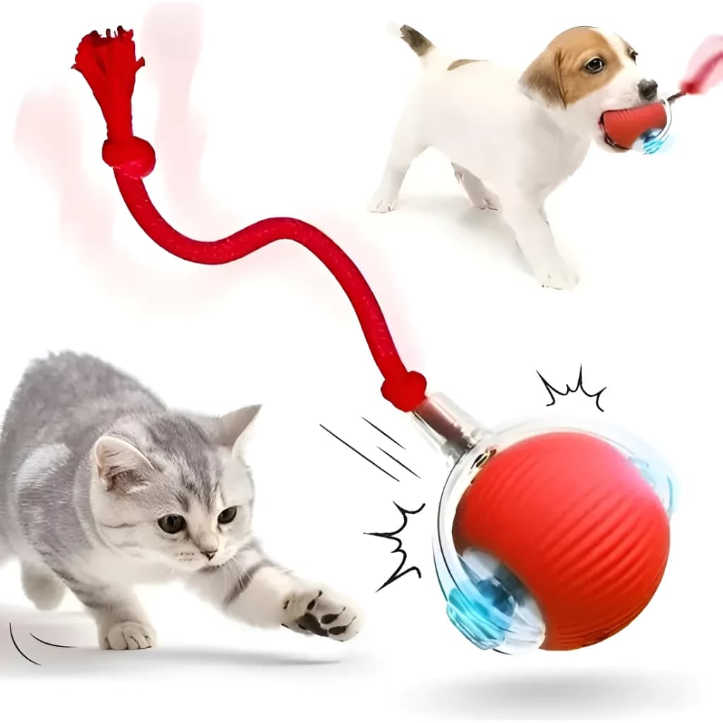 Bolinha Interativa Recarregável com Luz LED – 3 Modos Automáticos para Gatos e Cães Pequenos