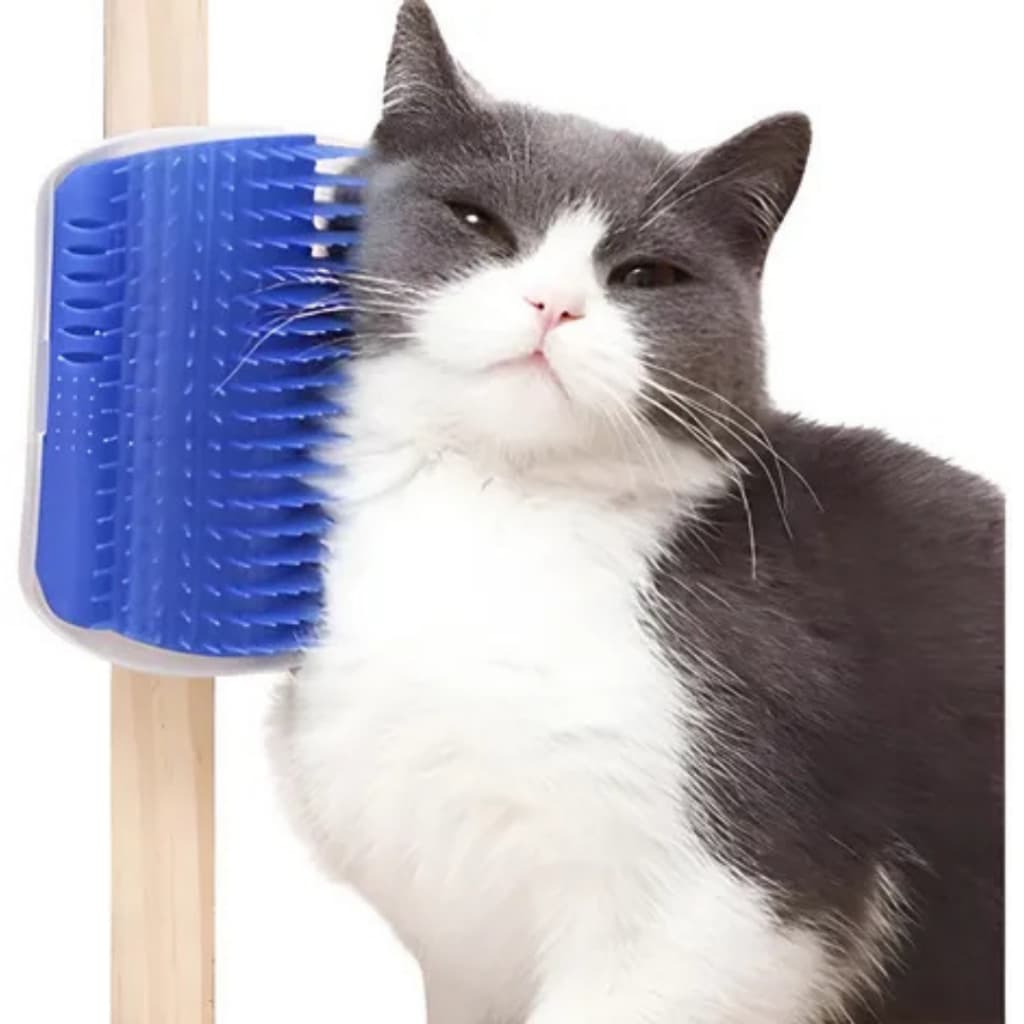 Escova Tira Pêlos Coçador Com Catnip Erva Para Gato Pet Parede Massagem Brinquedo