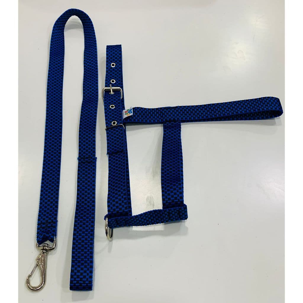 Coleira Peitoral Tradicional Pet com Guia para cães de Porte Pequeno Médio