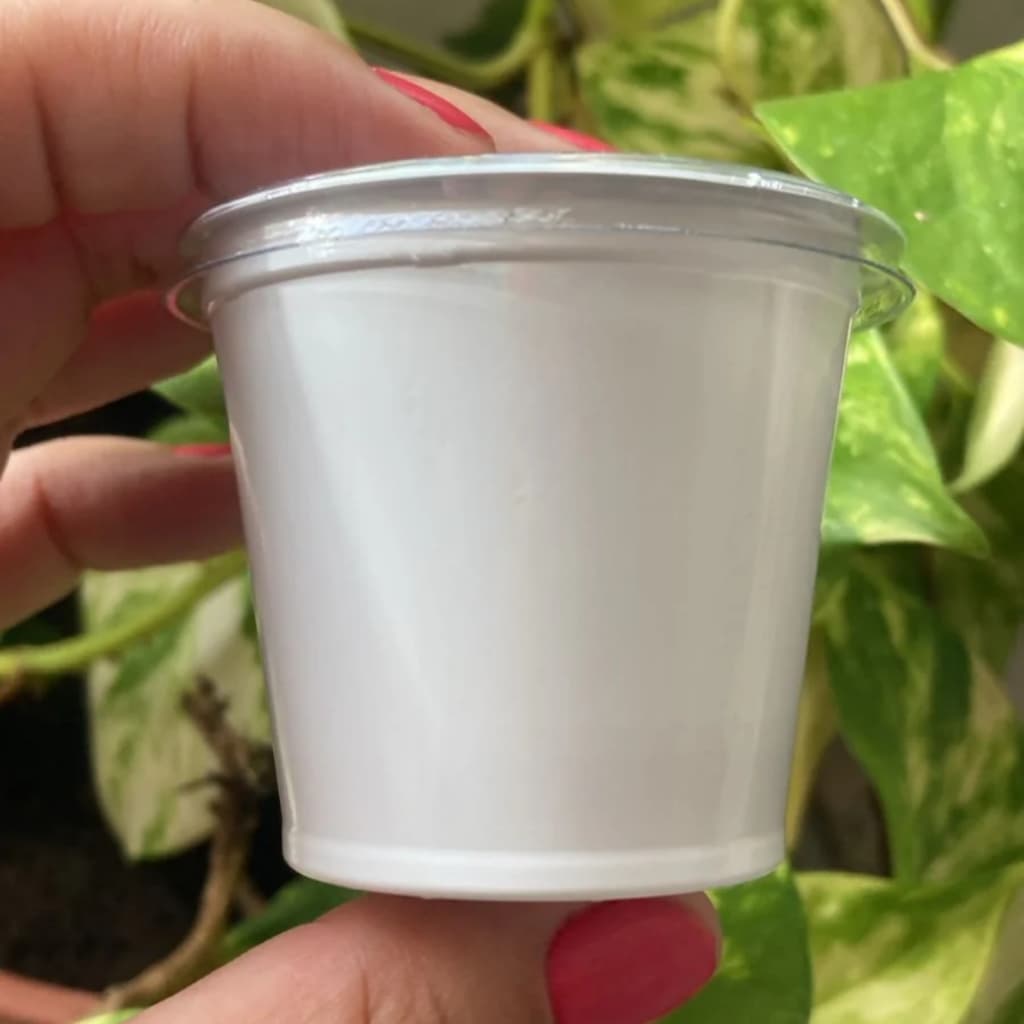 Pote Para Molho e Doces 60ml Branco C/Tampa Galvanotek G697