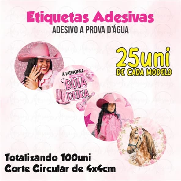 Detalhes que Encantam –Adesivos Ana Castela 4x4 cm pra Lembrancinhas Únicas!