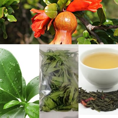 Romã - Folhas para Chá ou Banhos Colhidas no dia do Envio
