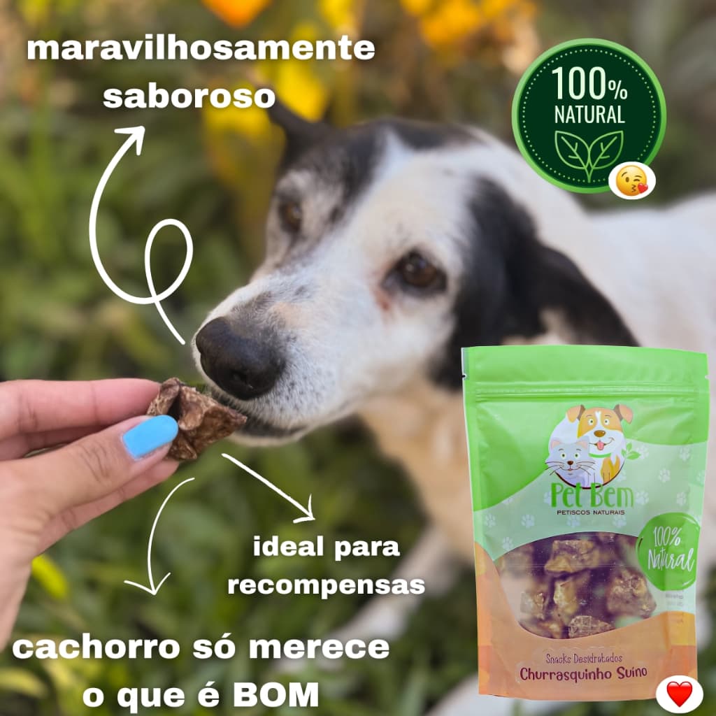 Petisco Natural Para Cães Churrasquinho De Porco Desidratado Petbem 60G