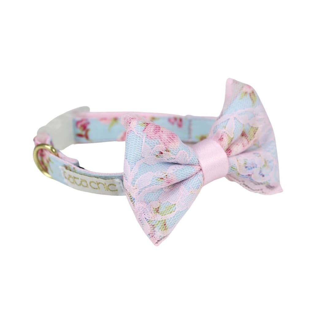Coleira Pet Pata Chic Doce Flor - Azul