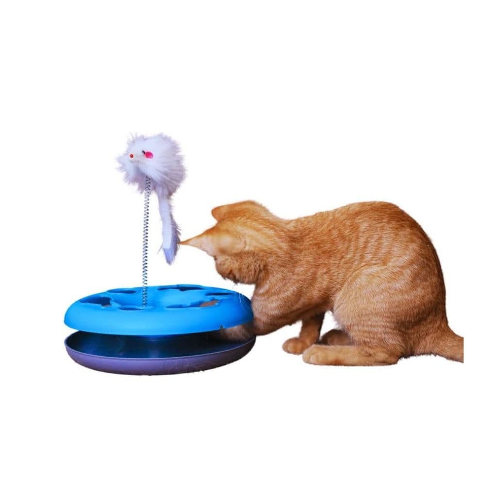Brinquedo Interativo Impopet Pet Cat