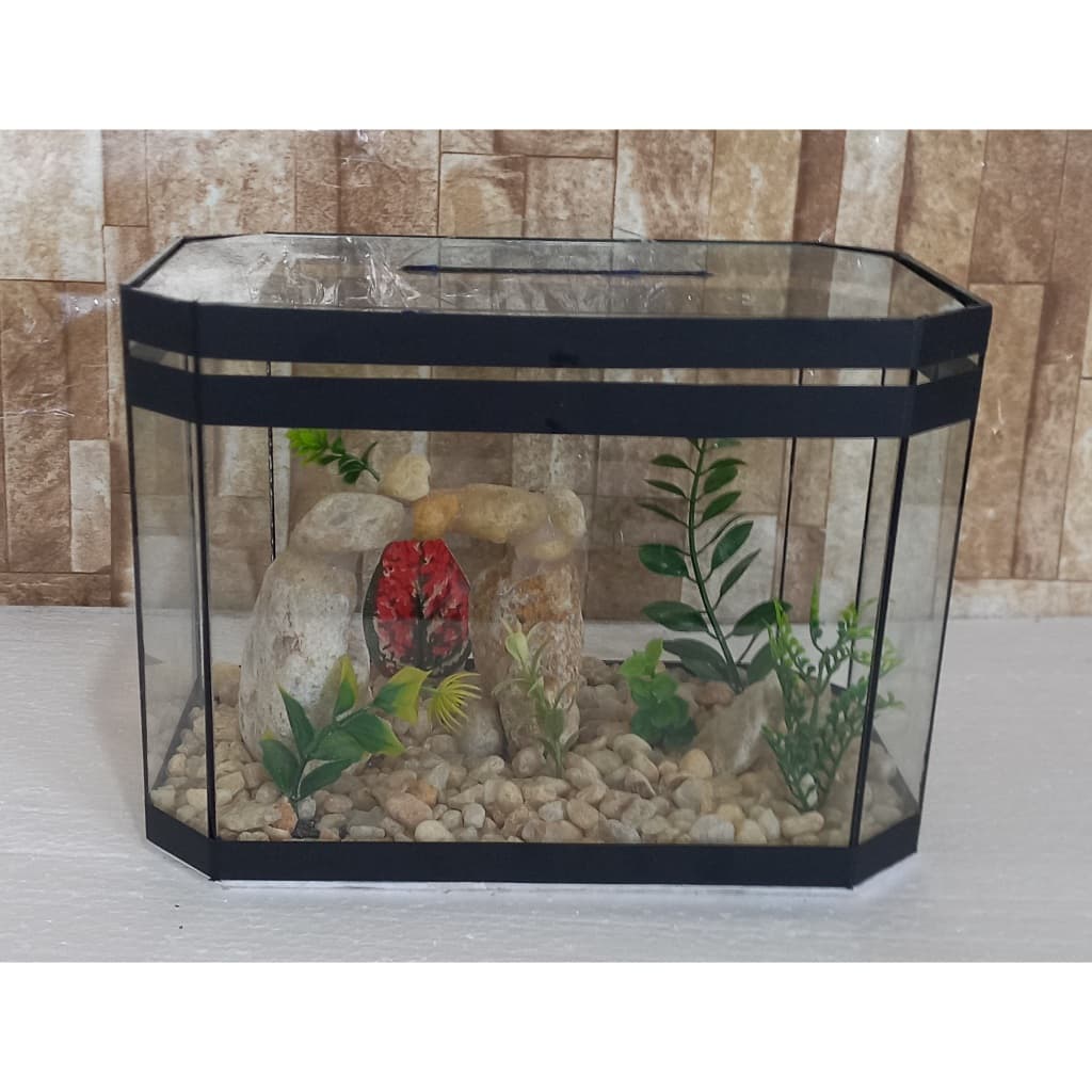 Aquário Beteira Oval 25cm Para Peixe Betta Decorado Ornamentação Exclusiva