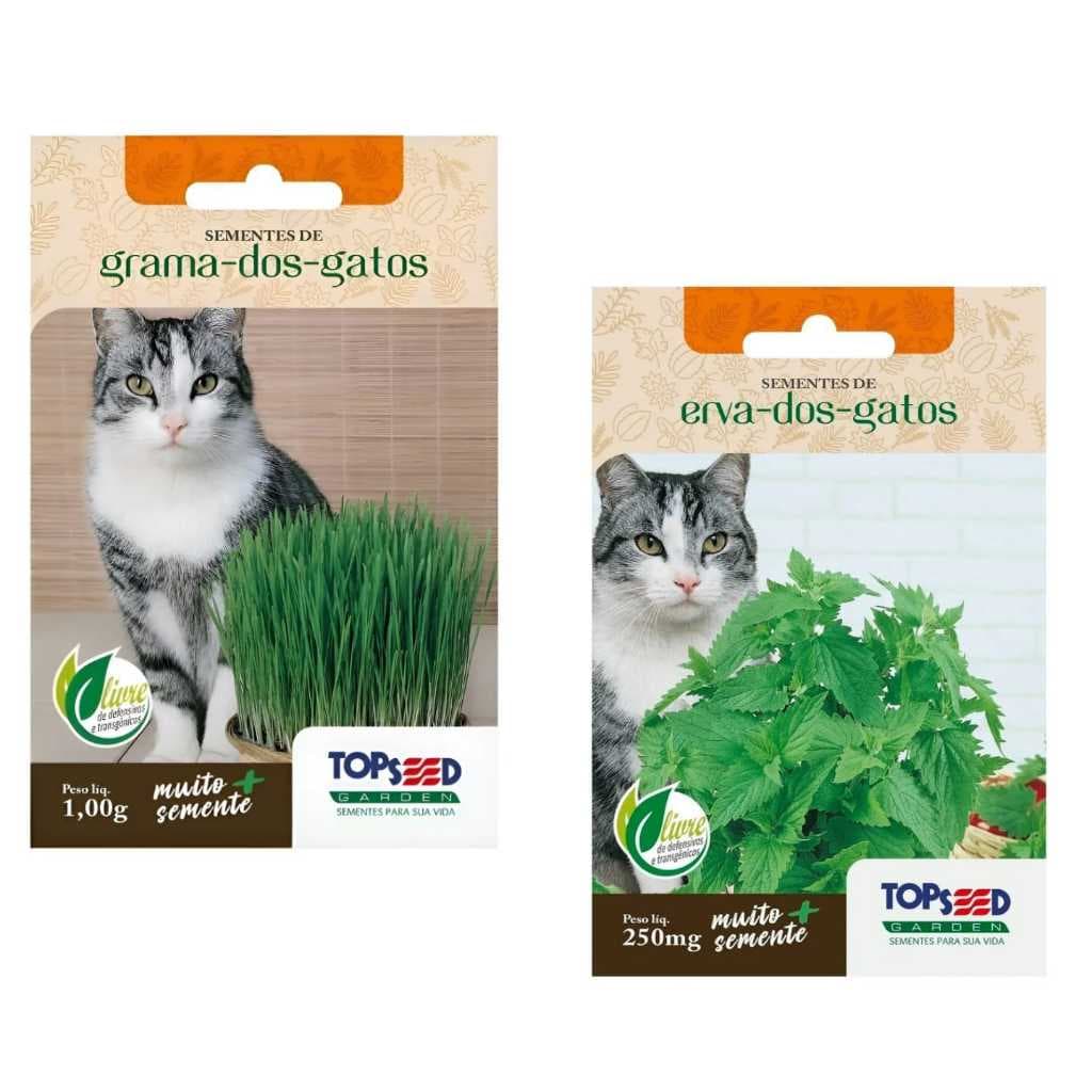 Kit 2 SACHÊS De  Sementes De Grama E Erva Dos Gatos Catnip 1000 sementes de cada