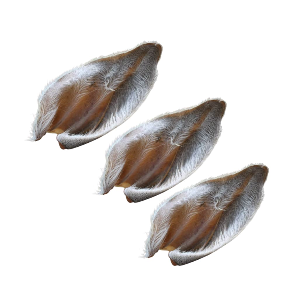Orelha Bovina Desidratada Grande 3 Unidades Lecker Petiscos.