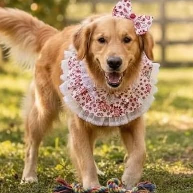 Bandana pet cachorro gatos banho tosa pet shop roupinhas para Pet acessórios para Pet
