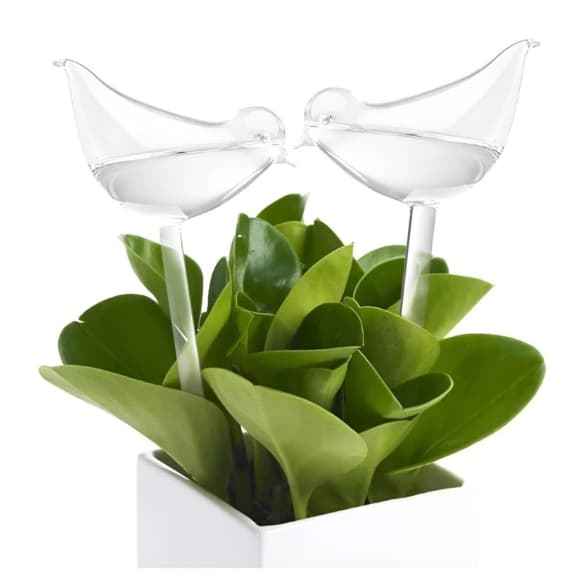 Kit 2 Regador Automático Para Plantas Gotejador Irrigação Jardim