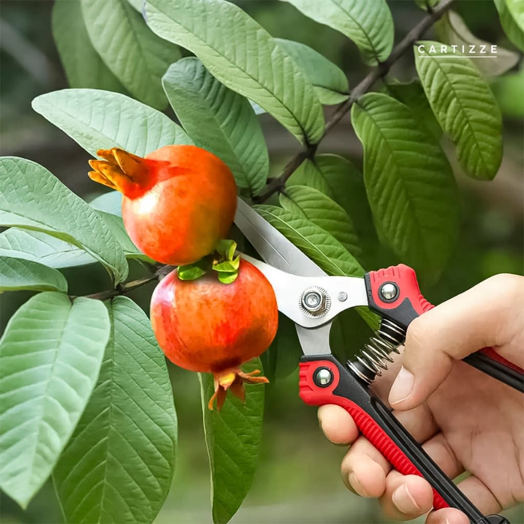 Tesoura Poda Super Afiada Jardinagem Profissional Tesoura De Precisão Poda De Ramos Plantas Flores