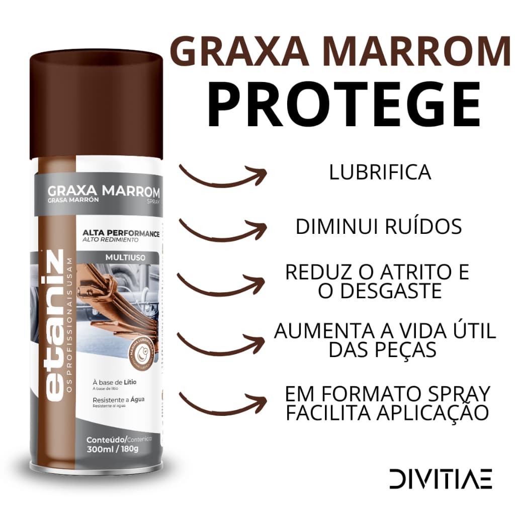 Graxa Multiuso De Lítio Spray Lubrificante 300ml Etaniz