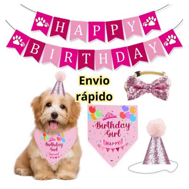 kit festa Pet animais de estimação aniversário completo cachorro gato pet porte grande e médio