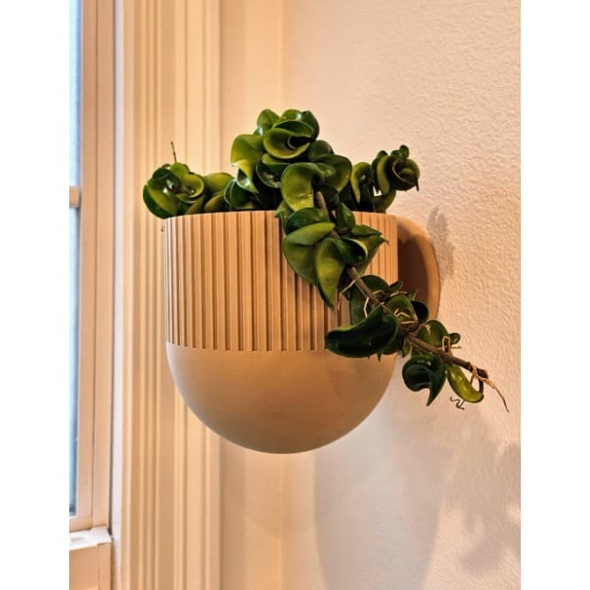 Design Moderno de Vaso para Parede