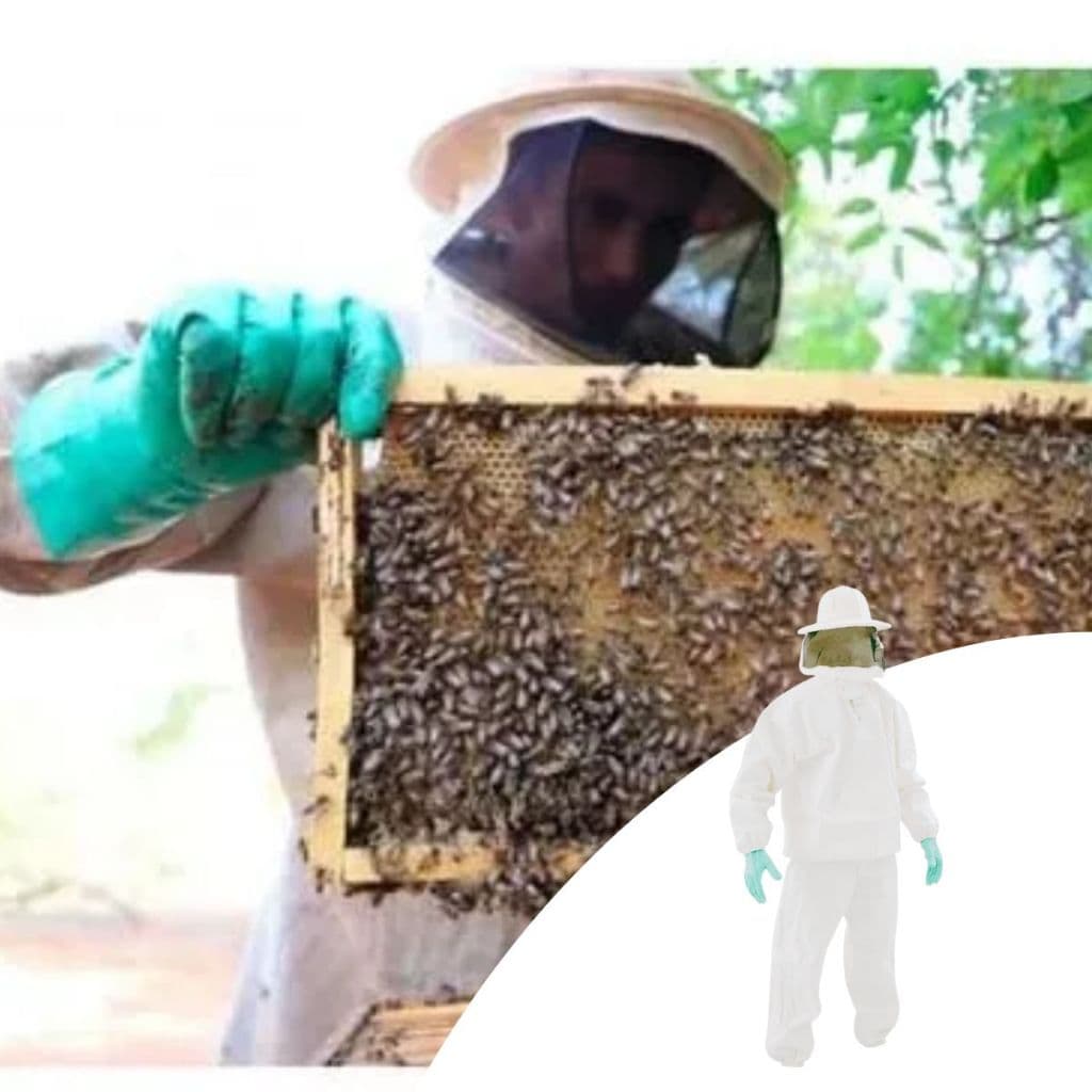 Roupa conjunto Proteção Abelha TNT Com Máscara E Luva epi apicultor apicultura com proteção