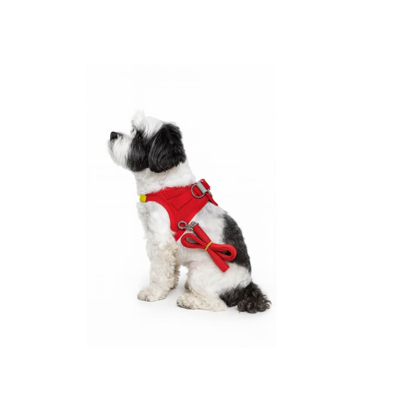Peitoral com Guia Confortável para Cachorros – Tamanho Único – Até 8 kg