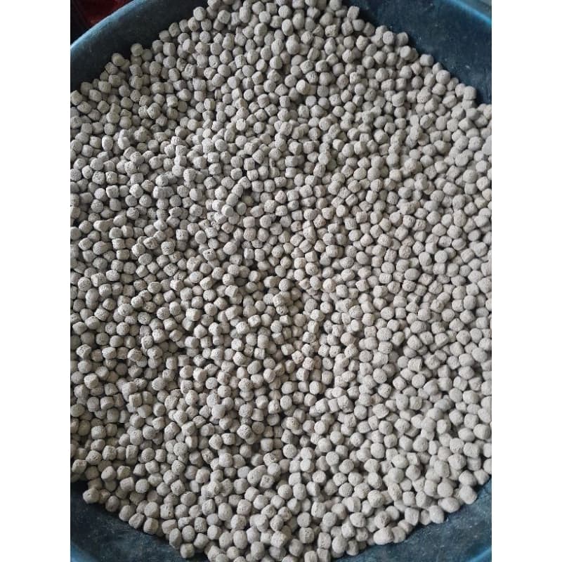 Ração para Peixe Grossa para Engorda 1kg Tilapia,Carpa,Tombaqui todas Espécies