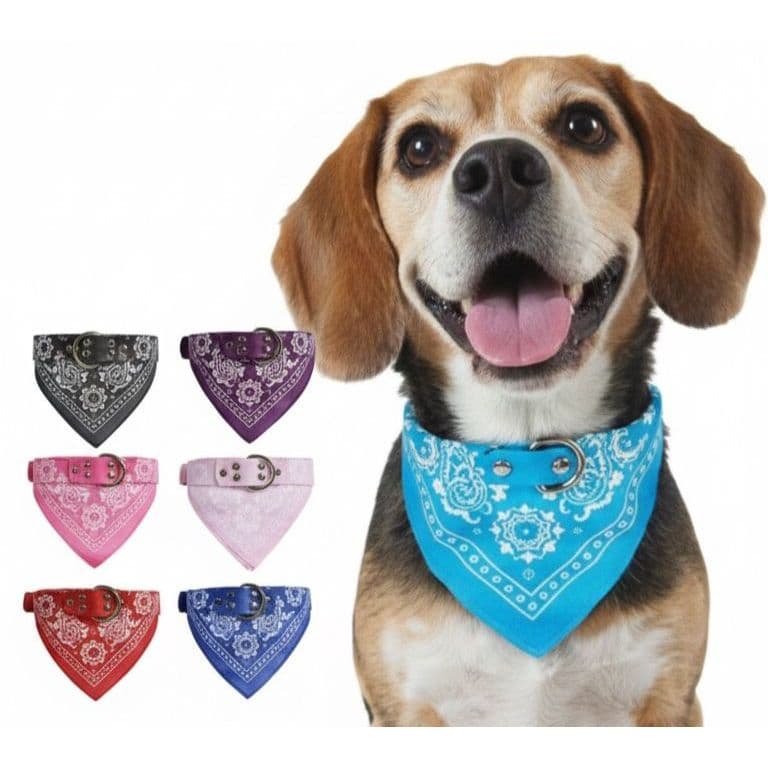 Coleira Para Gato e Cachorro Com Bandana P M G Promoção