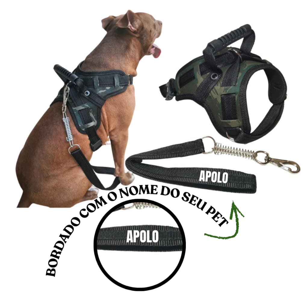 Coleira para cachorro personalizada colocamos nome ou telefone do seu cão + guia resistente
