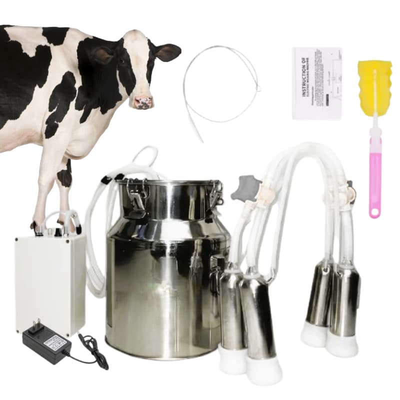 Ordenha Elétrica Pulsativa 14l Inox Para Vacas Ordenhadeira 220V