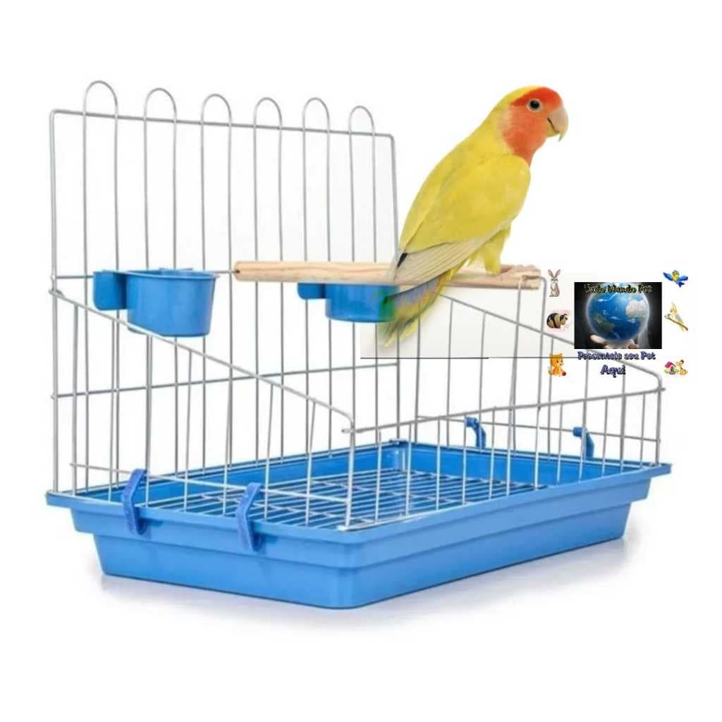 Poleiro para Papagaio / Coruja / Maritaca / Calopsita / Loro BANDEJA