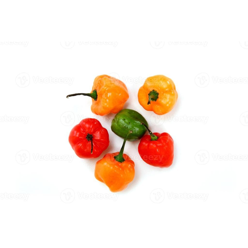Sementes de Pimenta de Cheiro – Variedade Aromática – Germinação Excelente – Horta Produtiva