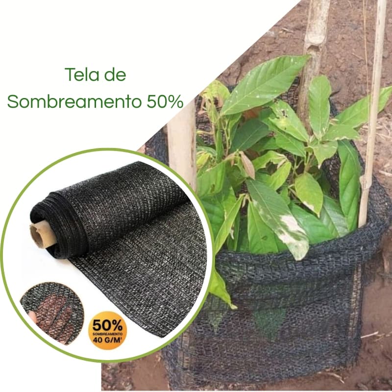Sombrite Sombreamento no Cultivo de Cacau 50%