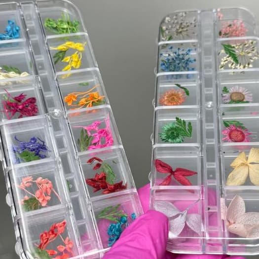 12 Flores Secas Encapsulamento Decoração Unhas De Gel - escolha seu modelo