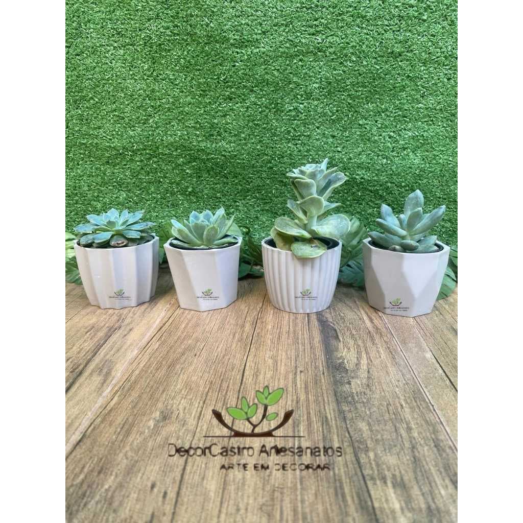 Kit 4 vasos cachepôs sortidos mini Para Plantas Suculentas Injetado Decorativo Luxo Premium