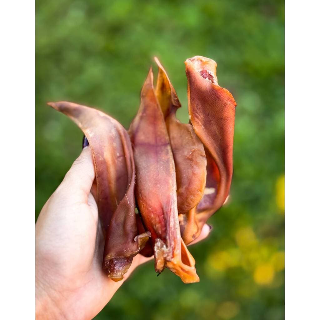 Petisco Natural Para Cães Orelha Suina Tiras Pet Bem Mordedor