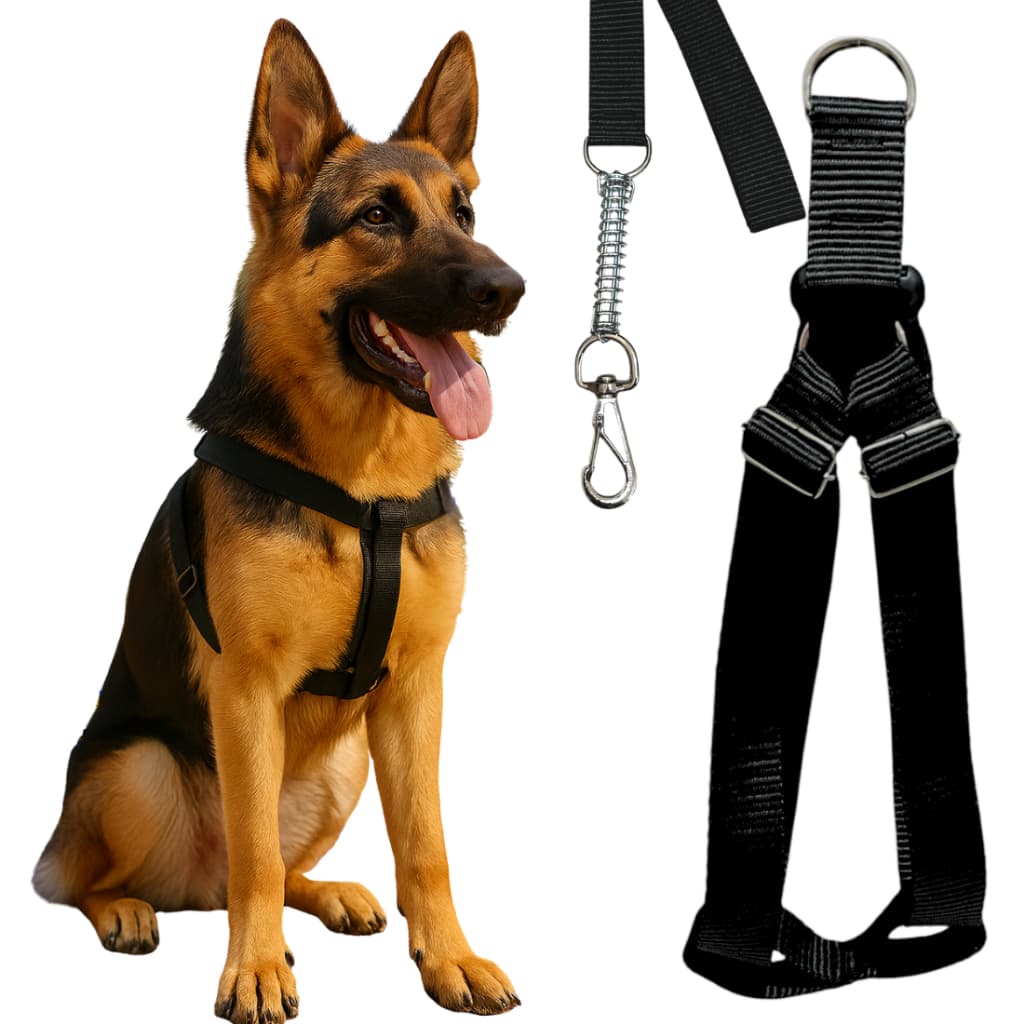 Peitoral Americano Para Cachorros Pequenos Médios e Grandes Resistente Anti-Impacto