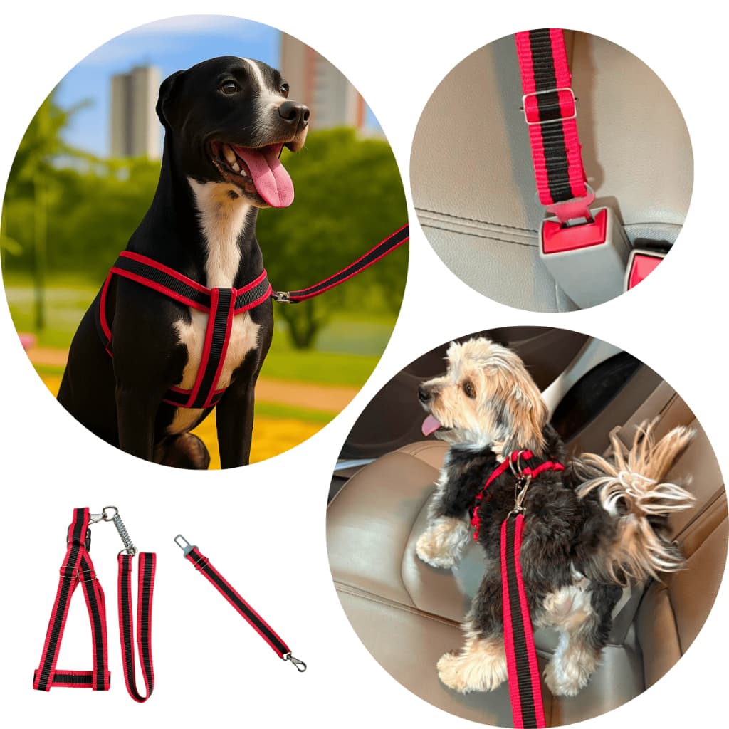 Kit coleira peitoral + cinto de segurança viagem para cachorros de pequeno médio e grande porte