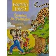 Livro: Caçadas De Pedrinho