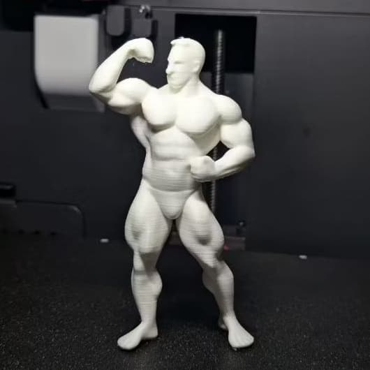 Escultura 3D Fisiculturista / Bodybuilder – Decoração Academia