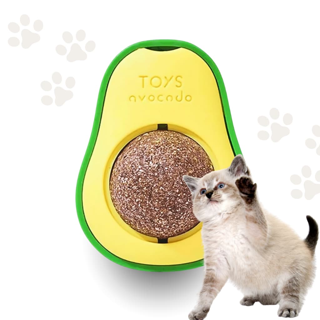 Abacate De Brinquedo Para Gatos Com Catnip Erva Gato Natural