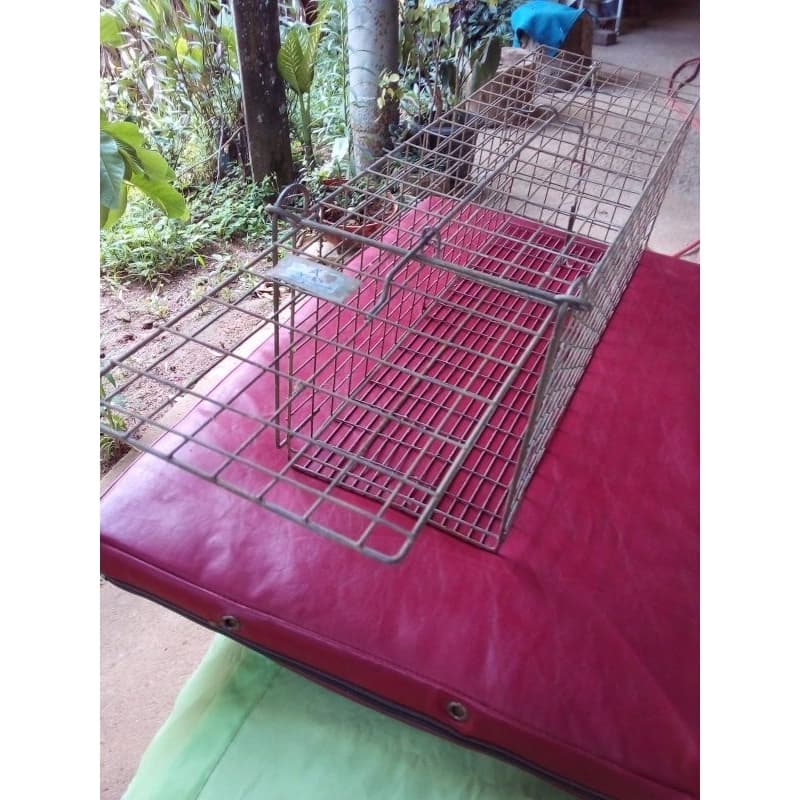 Ótima arapuca pra pegar animais !!!
