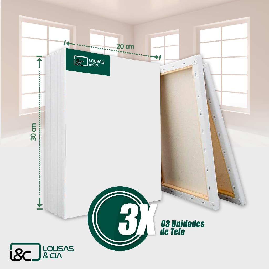 Kit 3 Telas de Pintura Escolar 20x30cm Chassi Madeira Souza