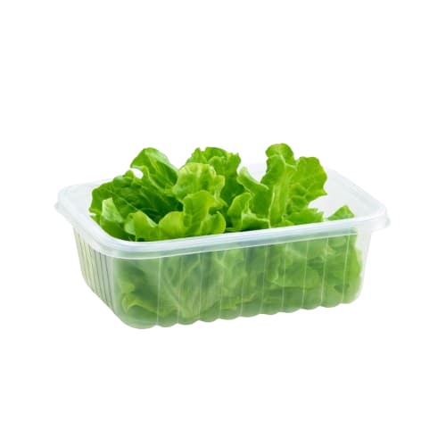 POTE PLASTICO 350ML  DESCARTAVEL EMBALAGEM  RECIPIENTE ALIMENTOS  60 UN DELIVERY PRAFESTA