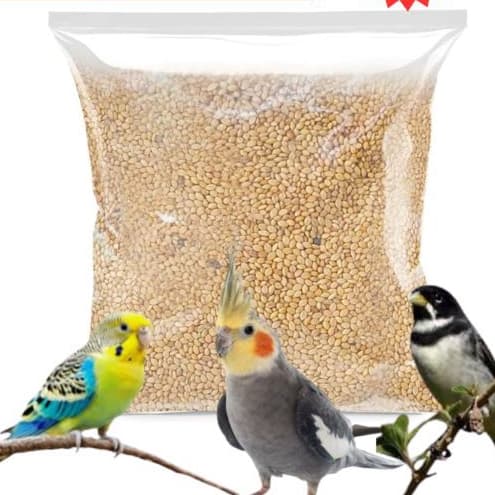 Ração para Periquito Calopsitas Agapornis Mistura Limpa1kg 2kg e 5kl A granel