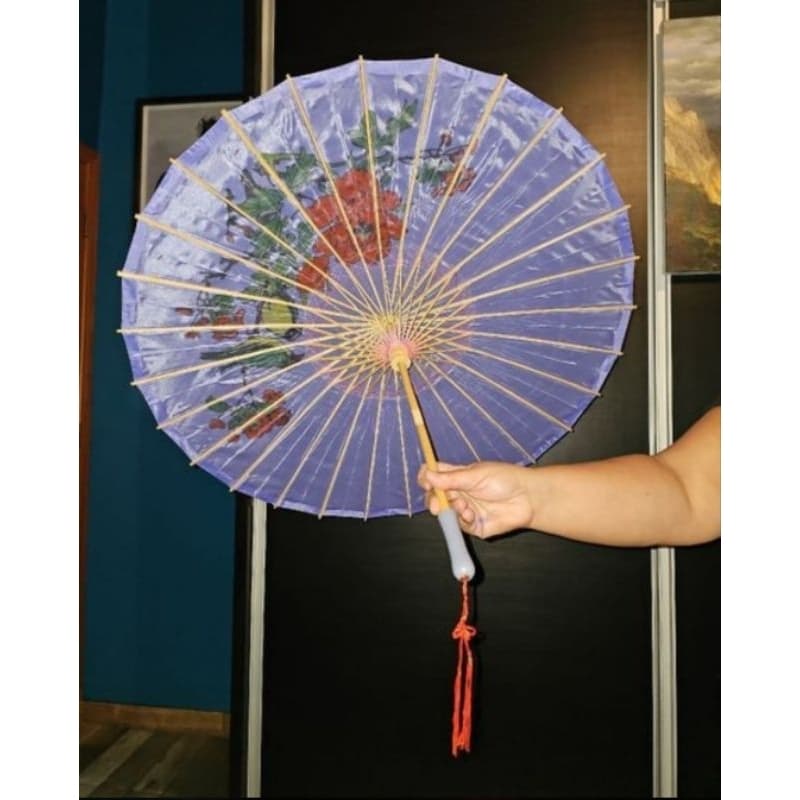 Sombrinha japonesa  decorativa