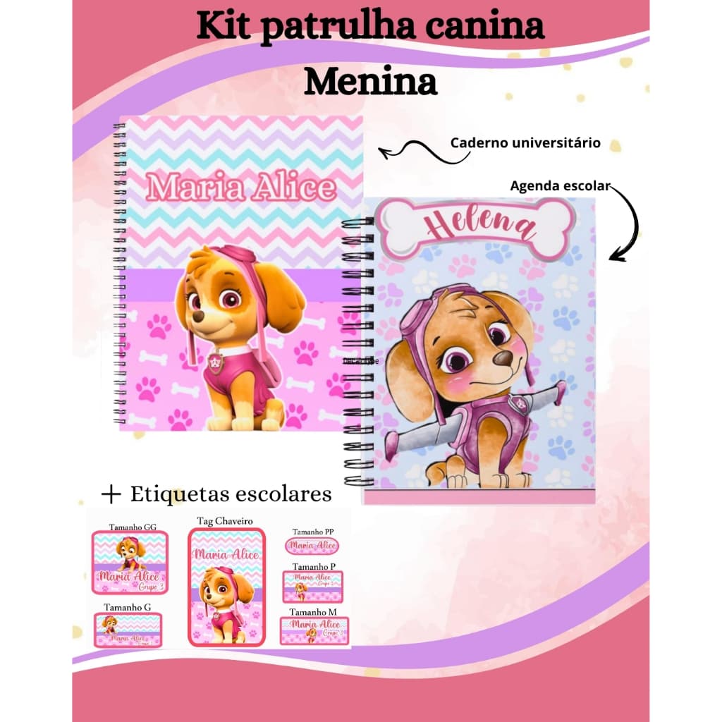 Kit escolar super completo fazemos temas diversos Agenda + caderno de Desenho + caderno de Brochura