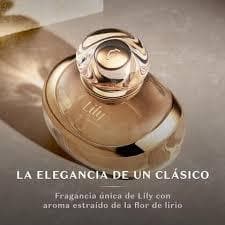 Perfume Feminino Similar Lily Tradicional – Inspirado – Floral Elegante Sofisticado