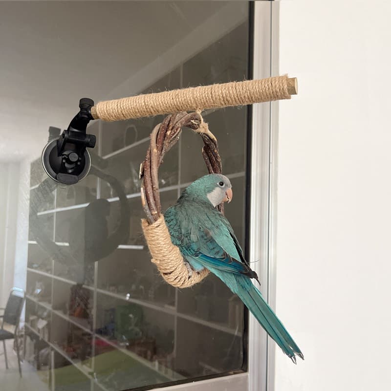 Kit Anéis suspensos Balanços Casinha De Passarinho Decoração Natureza Cordel Tronco Vara Em Pé
